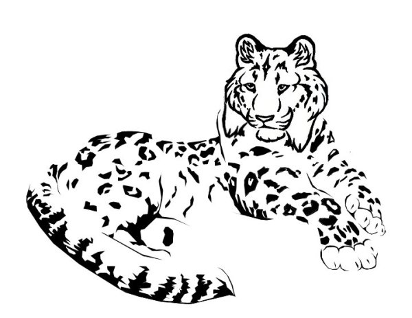 Снежный Барс Ирбис