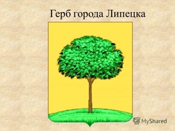 Липецк липа рисунок