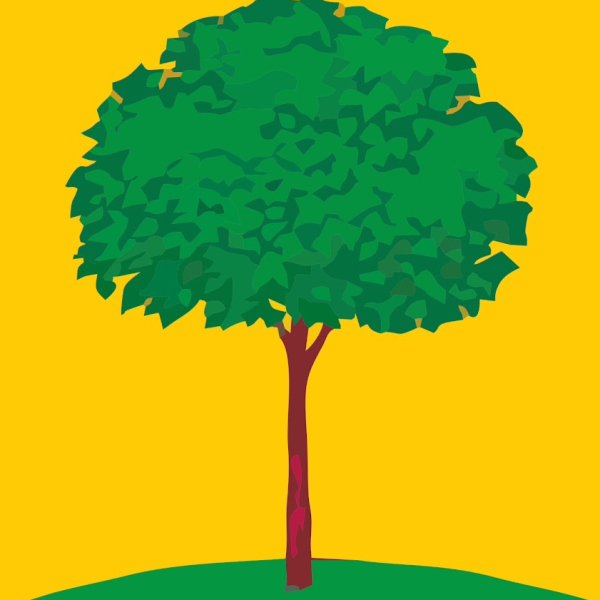 Герб Липецка 1781 года