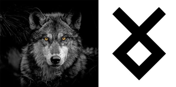 Руна одал в чертог волка