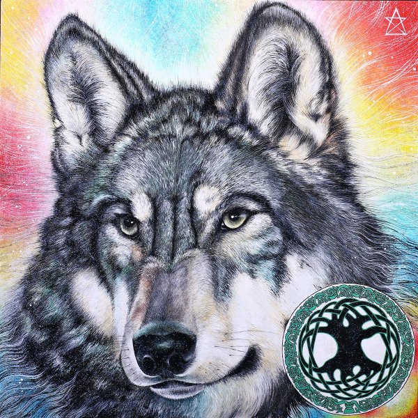 Символика Волков