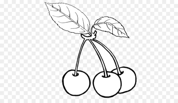 Вишня раскраска для детей