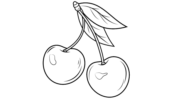 Вишня контур