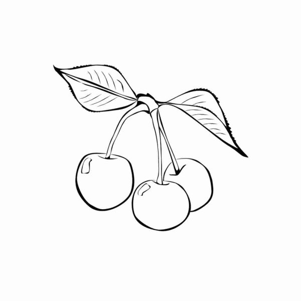 Ягоды силуэт