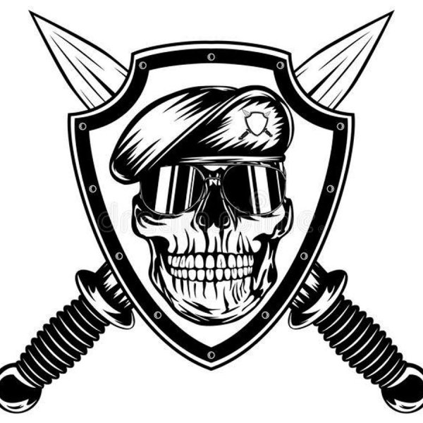 Спецназ морской пехоты эмблема