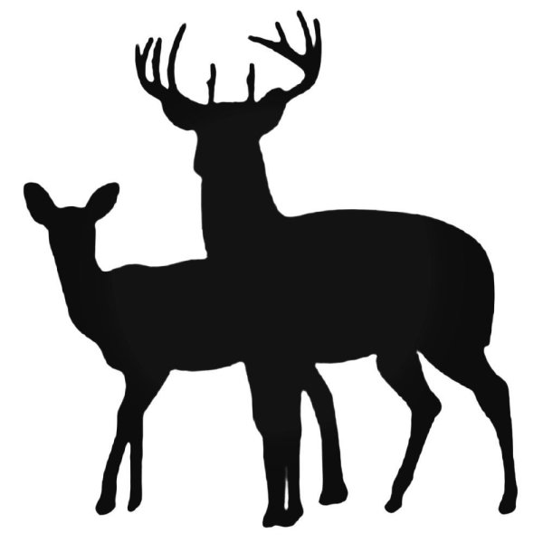 Силуэт оленя