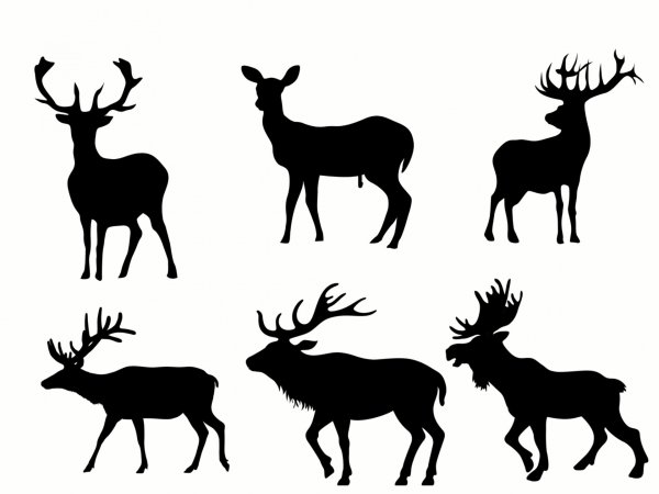 Силуэты диких животных