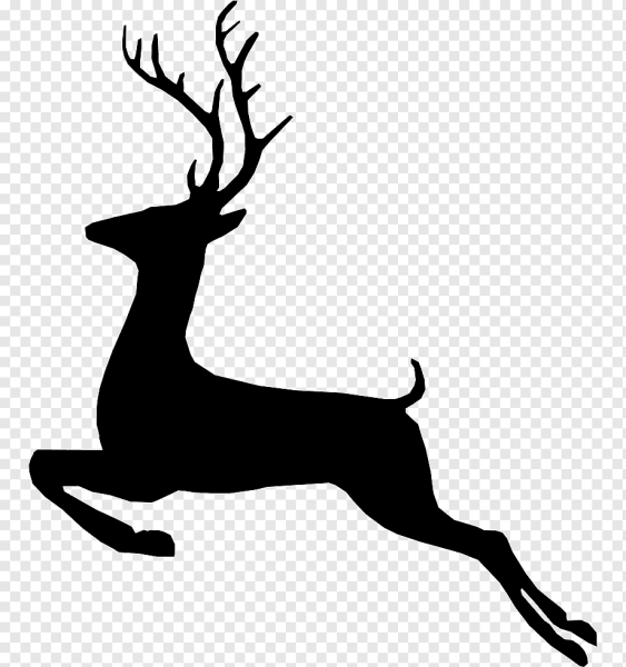 Олень сбоку силуэт