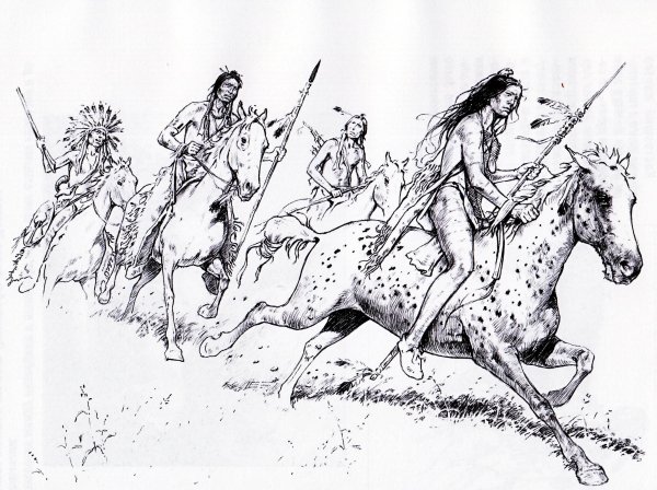 Амазонки карандашом