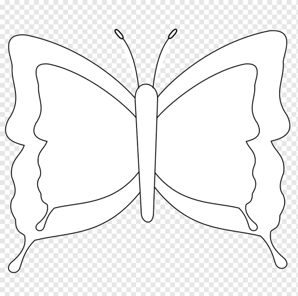 Бабочка контурный рисунок для детей