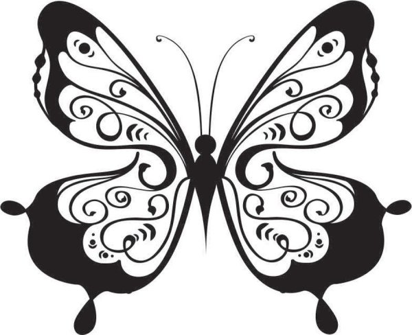 Черно белые бабочки для распечатки