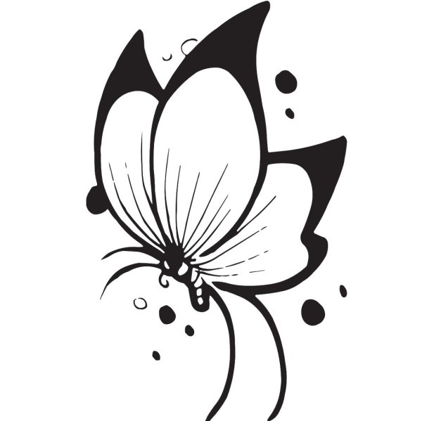 Бабочка черный контур