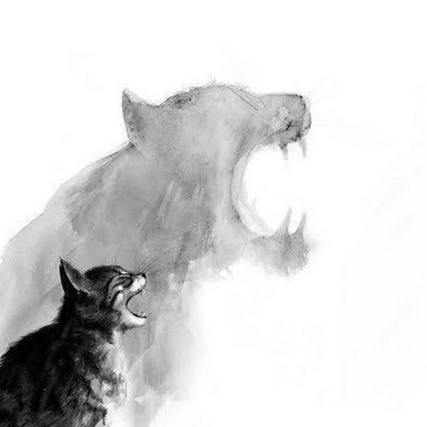 Кот с тенью Льва