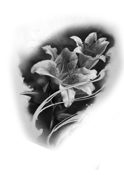 Цветы эскиз реализм