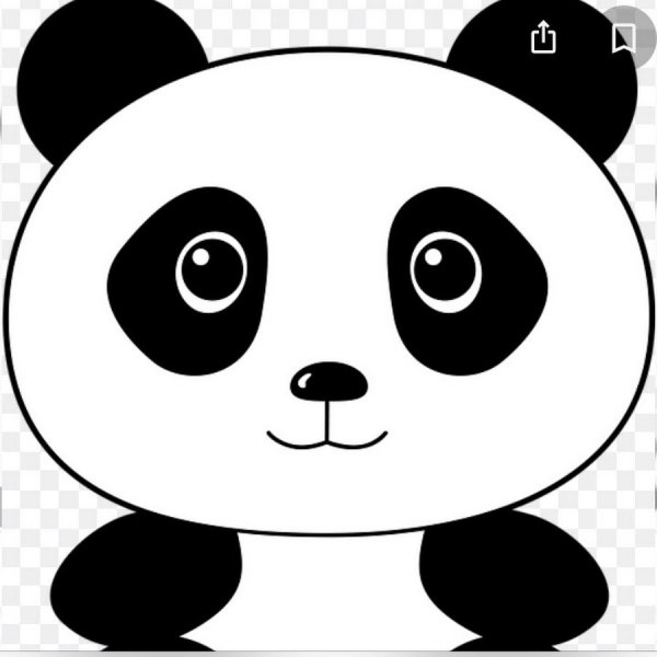 Панда рисунок карандашом
