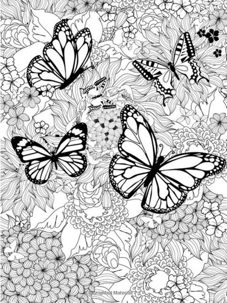 Раскраски антистресс бабочки
