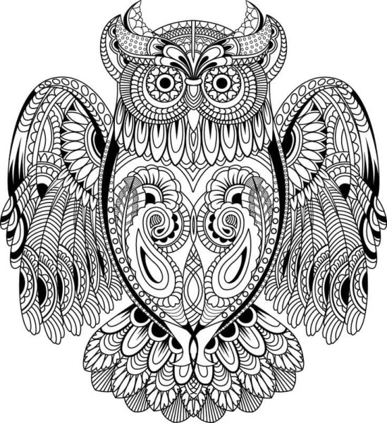 Сова антистресс