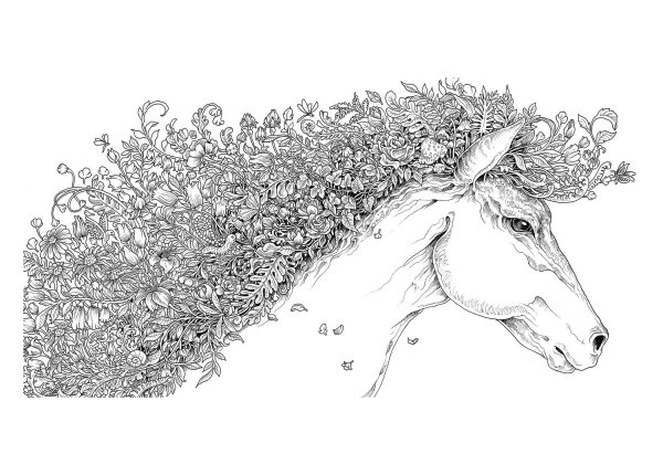 Экстремальные раскраски Керби Розанес