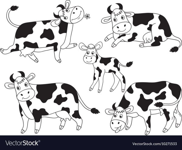 Смешная корова вектор