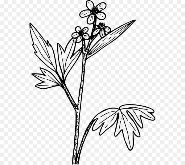 Стебельки осенних трав