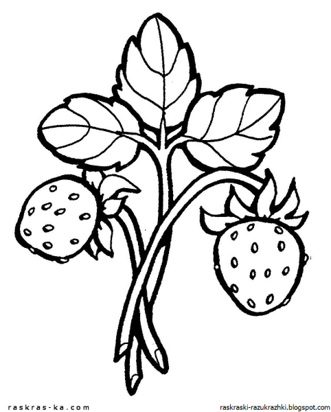 Раскраска "ягоды"