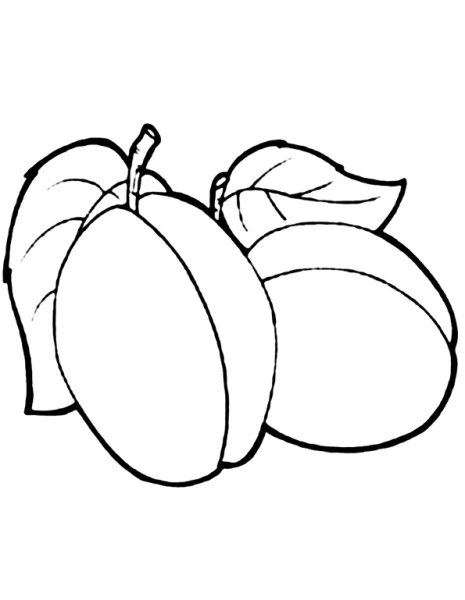 Слива карандашом