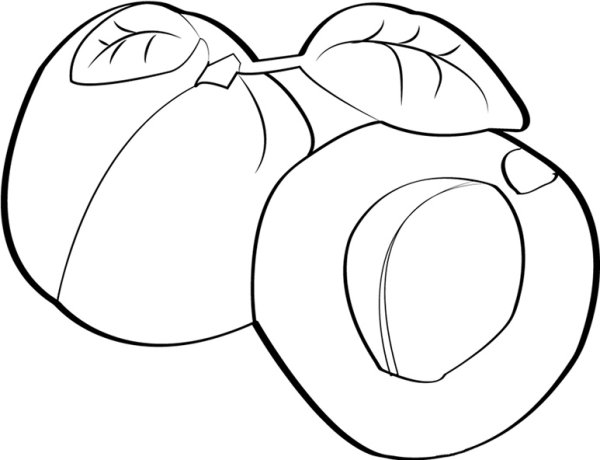 Нектарин раскраска