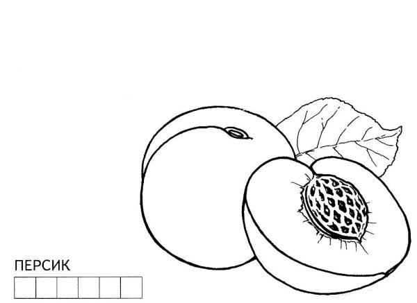Слива раскраска для детей