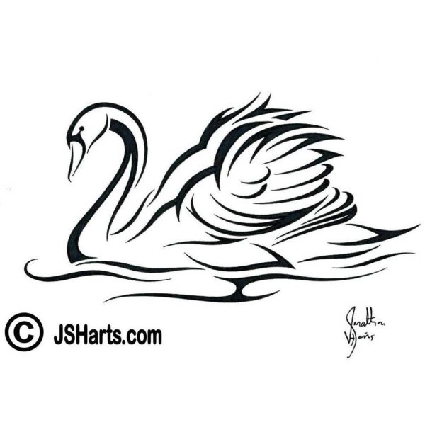 Лебедь эскиз