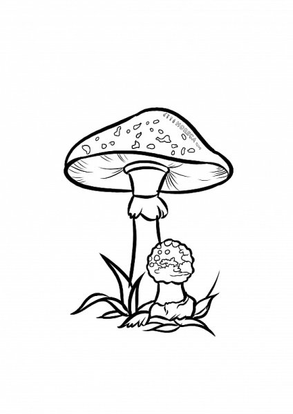 Мухомор контурный рисунок
