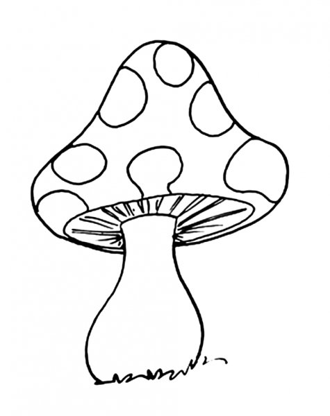 Инди КИД грибы