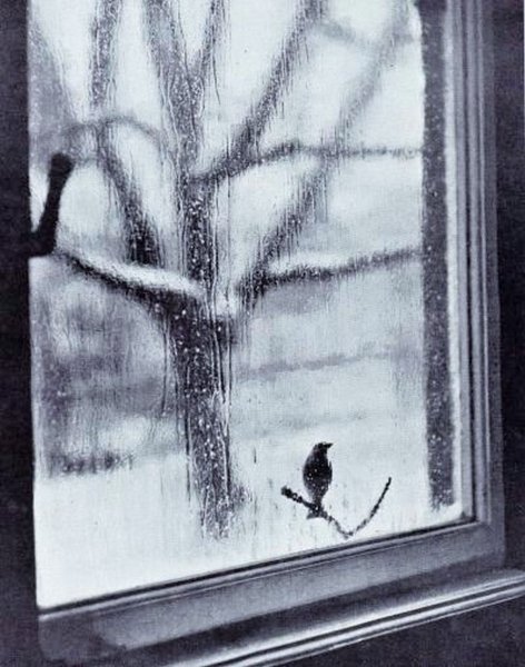 За окном Графика