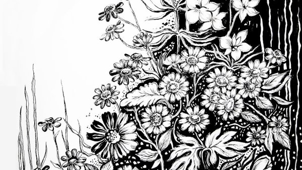 Графика цветы черно белые