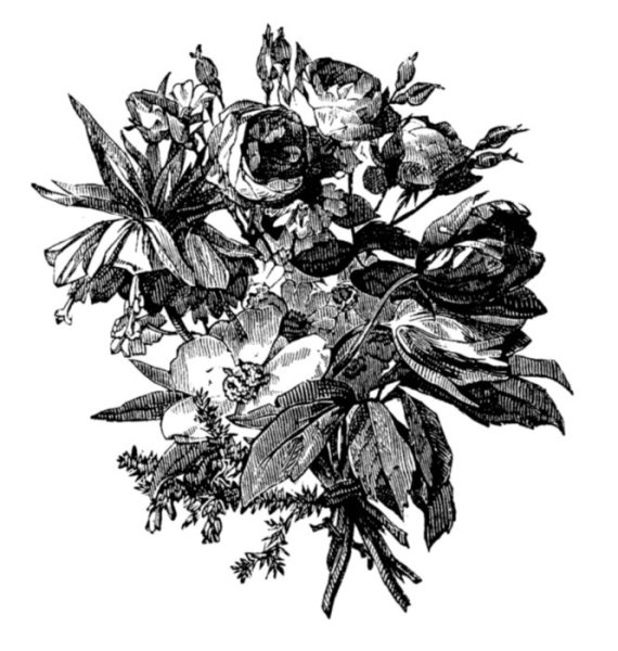 Старинные Гравюры