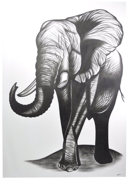 Картина слон черно белая