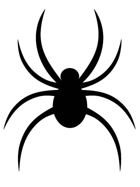 Паук силуэт