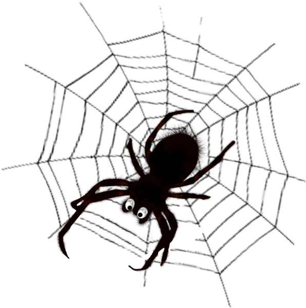Паучок на прозрачном фоне