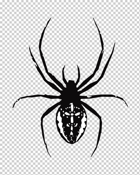 Паук эскиз