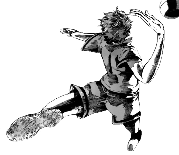 Хината волейбол Манга