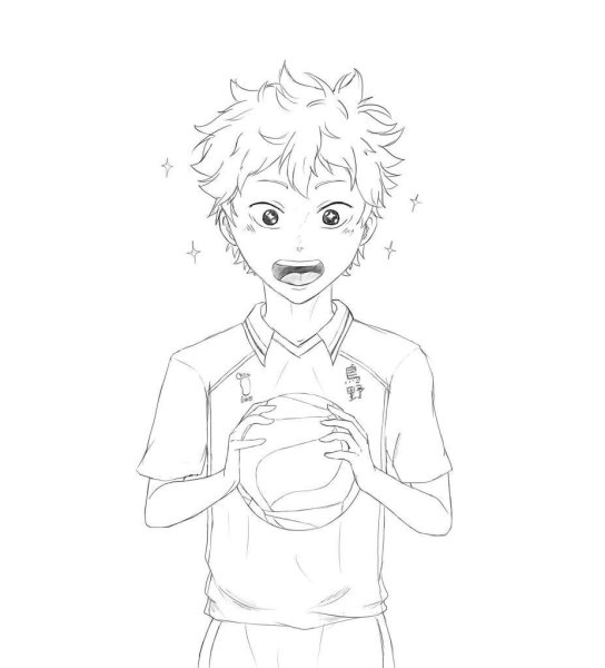 Хината шоё чëрно белый