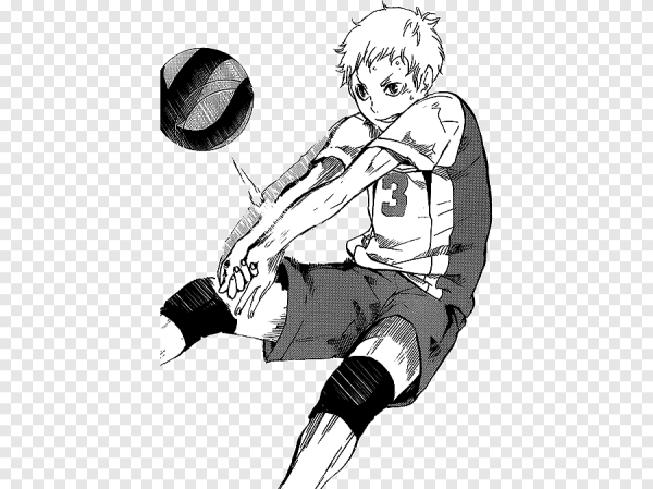 Либеро волейбол черно белая