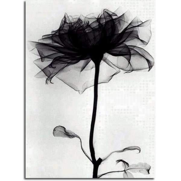 Красивые черно белые картины