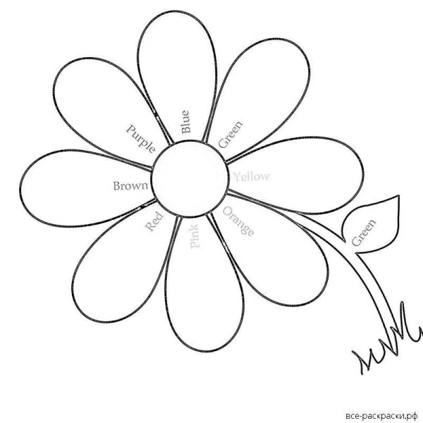 Раскраска цветочек