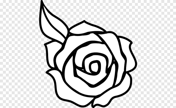 Роза рисунок
