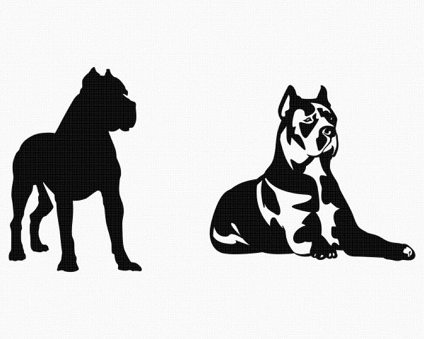 Кане Корсо силуэт