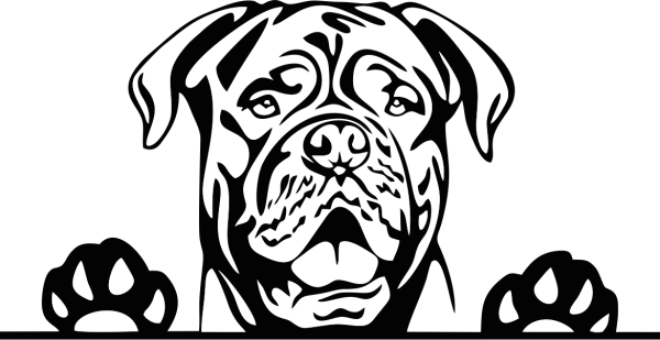 Бордосский дог картинки