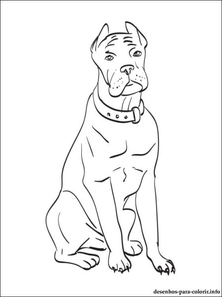 Раскраска собака Кане Корсо