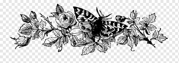 Винтажные цветы черно белые