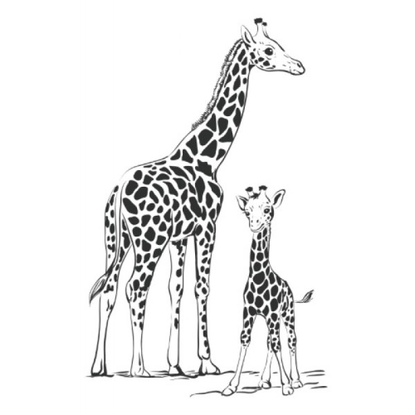 Выжигание по дереву Жираф