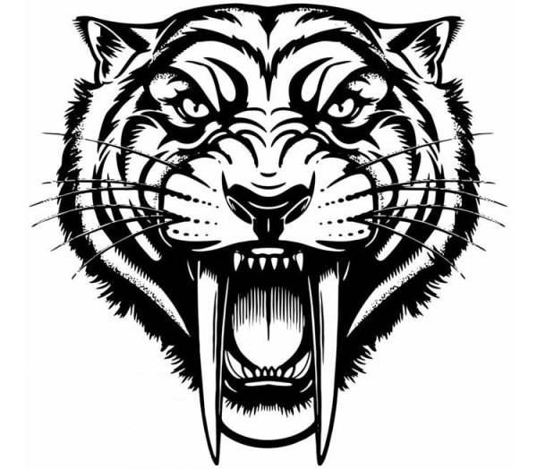 Оскал тигра